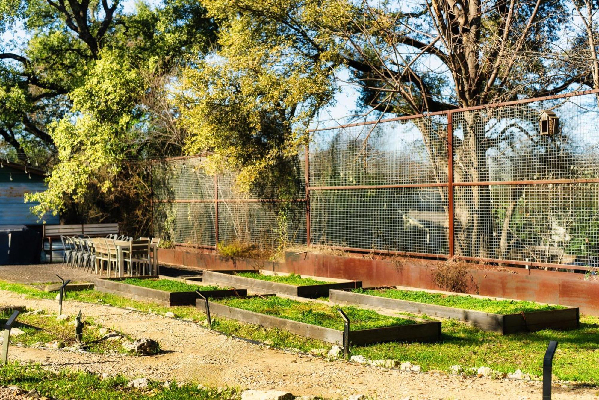 Charming & Historic 2-Br Home On An Eco Farm オースティン エクステリア 写真